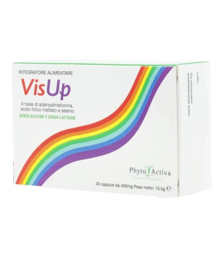 VISUP 30CPS