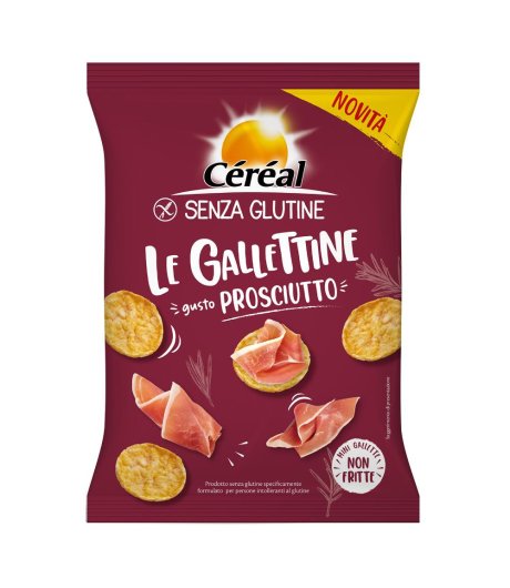 CEREAL Gallettine Prosc.70g