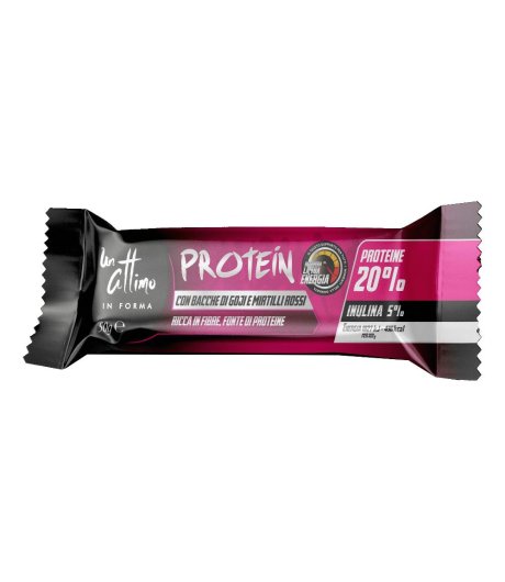 PROTEIN Barr.20%Goji&Mirt.50g