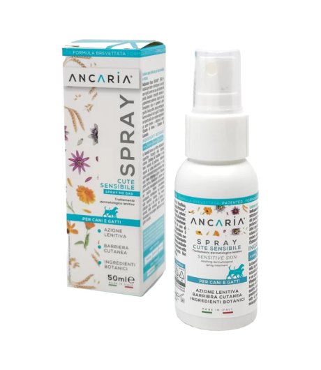 ANCARIA Loz.Spray 50ml