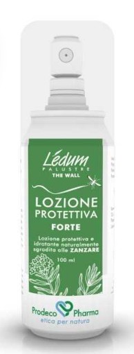 Ledum The Wall Loz Prot Ft-image