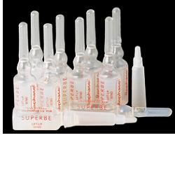 Rephase Superbe Liftup SENO20F-image