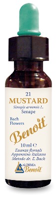 Benoit Fiori Di Bach Mustard-image