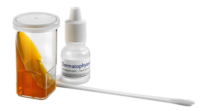 Dermatophytest Virbac: Kit Diagnostico per Dermatomicosi