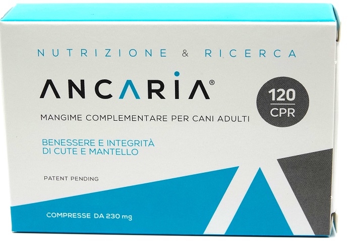 Ancaria 120cpr-image