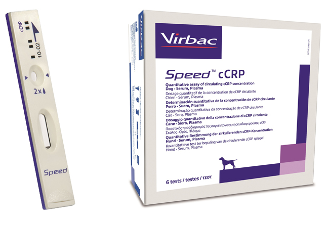 Speed Ccrp Reader Test Scatola 6PZ - Virbac