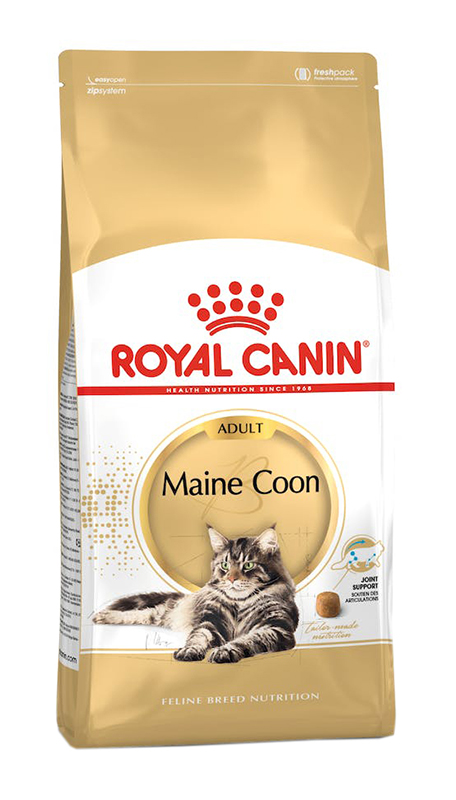 Royal Canin Maine Coon Adult: Nutrizione Specifica per il tuo Gigante