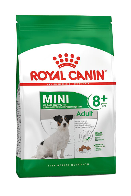 Royal Canin Mini Adult 8+: Nutrizione Specifica per Cani Senior