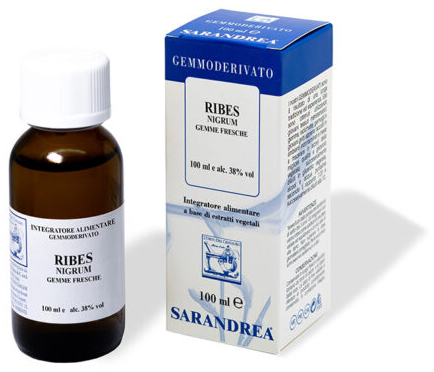 Ribes Nigrum 100ml Mg-image