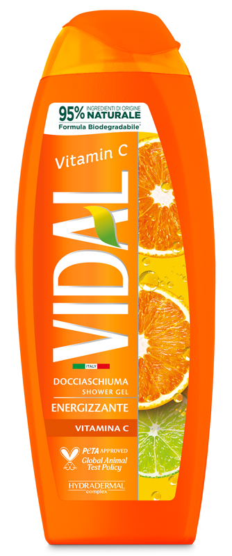 Vidal New D/S Vitamina C 250 Ml-image