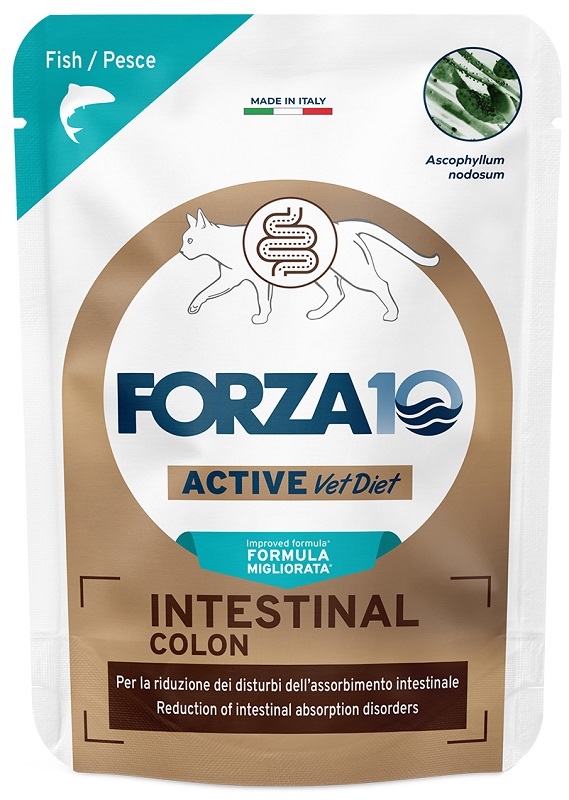 Forza10 Gatto Intestinal Colon Umido 80g: Recensione