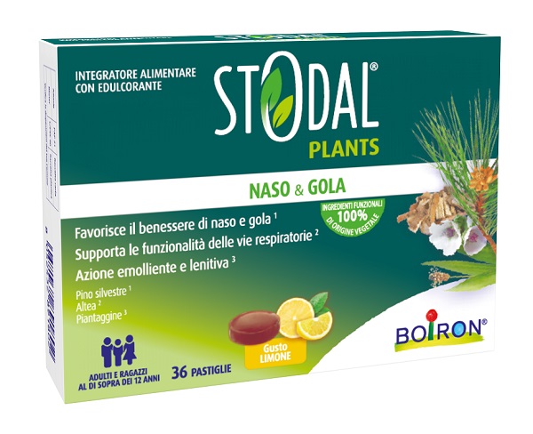Stodal Plants 36 Past.Limone-image