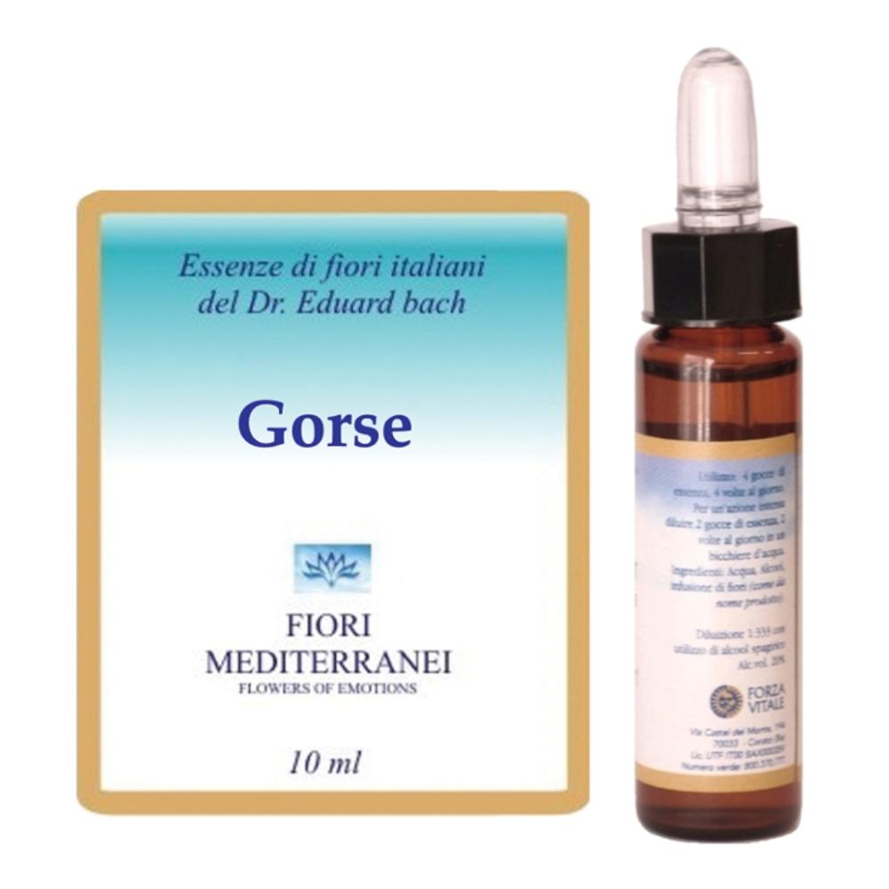 Gorse Fiori Mediter 10ML-image