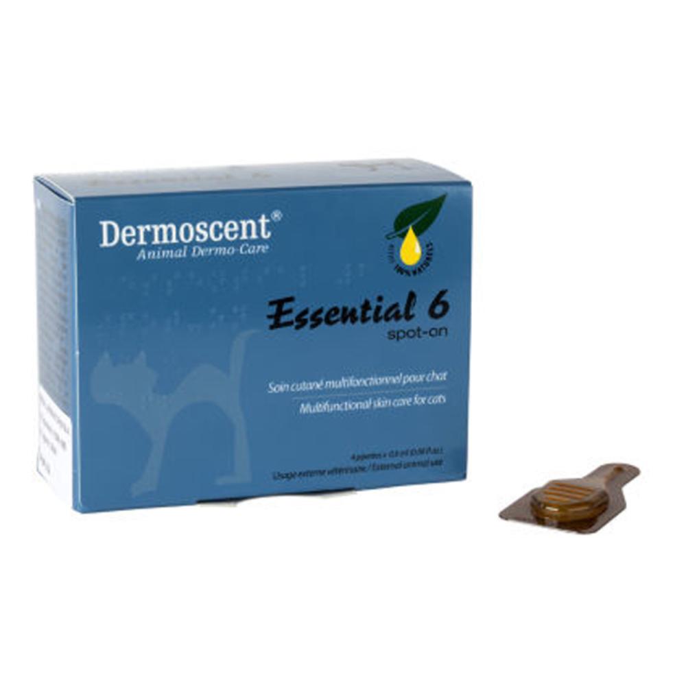 Essential Mousse Gatti: Igiene e Cura Cutanea Senza Risciacquo