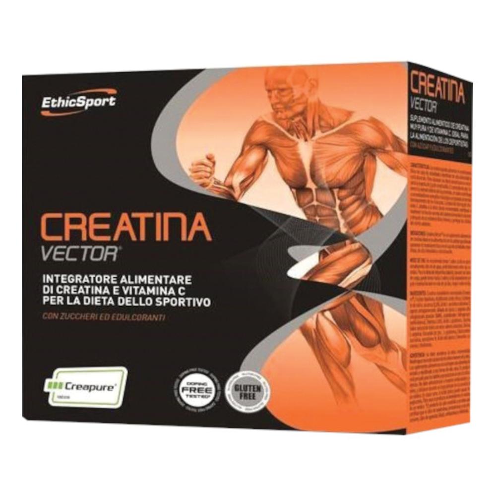 Creatina Vector 20BUST 8G