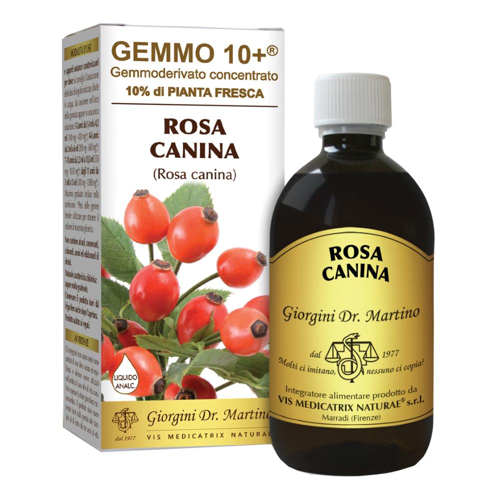 Rosa Canina Liq Analco Gemm10+-image