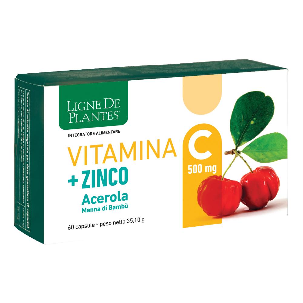 Vitamina C 500MG+ZI/AC/BA60CPS-image