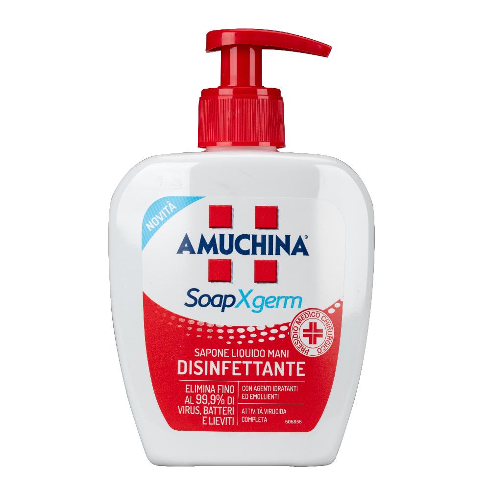 Amuchina Sap Liq Protet Mani 250ML-image